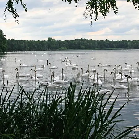 Body Sun ゲストハウス 3*