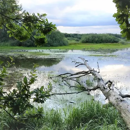 Body Sun ゲストハウス