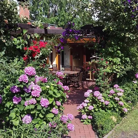 Guest house Body Sun